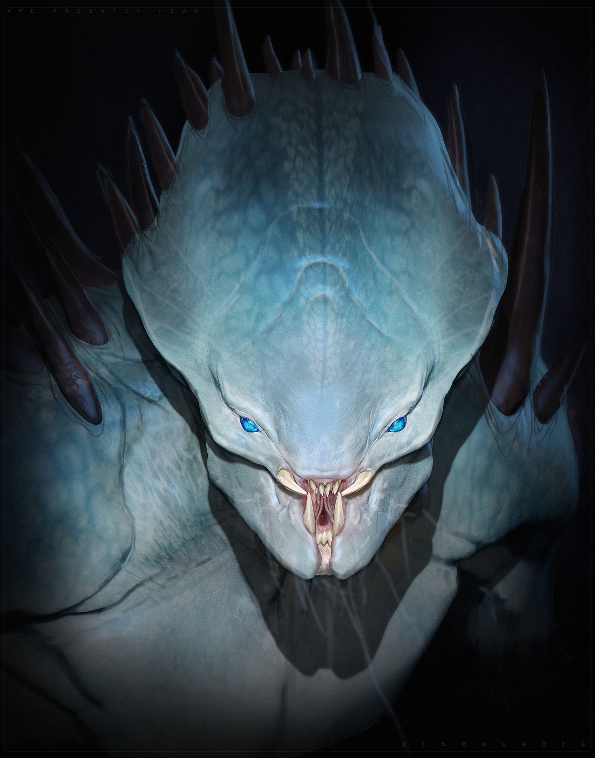 The Rhaxid